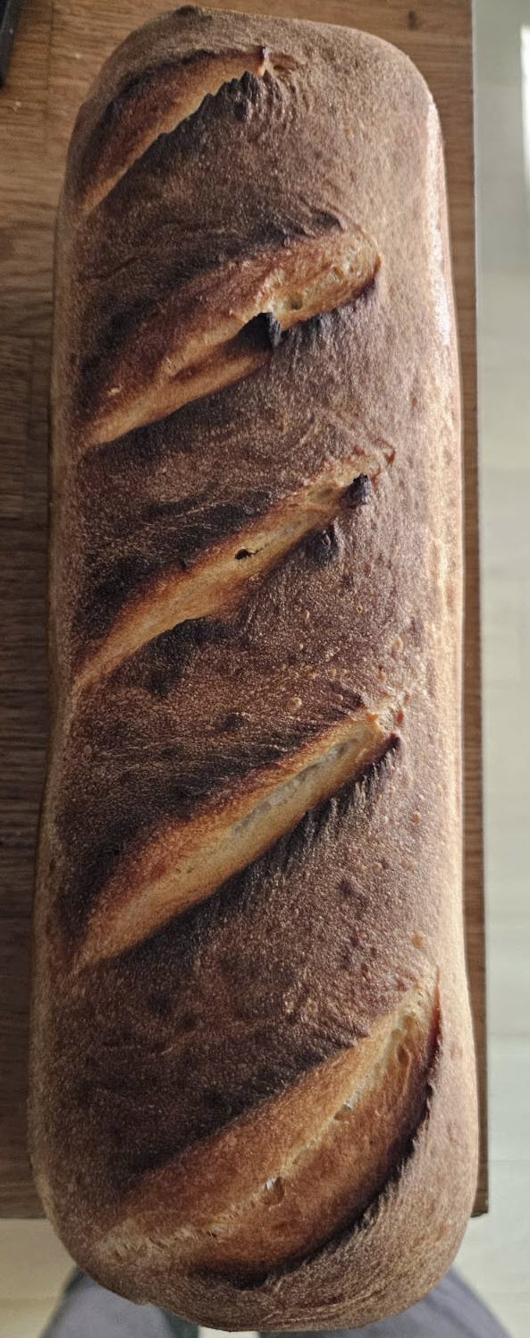 Starter, Levain, Build, Mother Starter