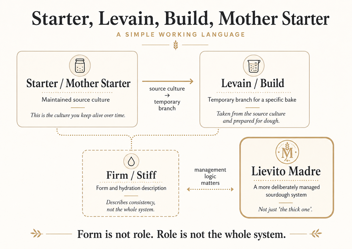 Terminology ladder: starter / mother starter (maintained source culture) to levain / build (temporary branch), with firm / stiff as form and lievito madre as a deliberately managed system